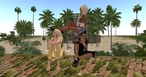 Web 4fd5a1ad7740c20af0000001