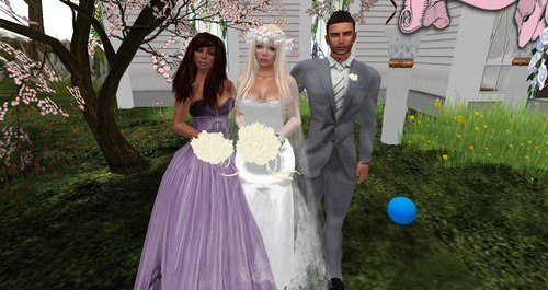 Web 50208fd7fe43e363cd000001