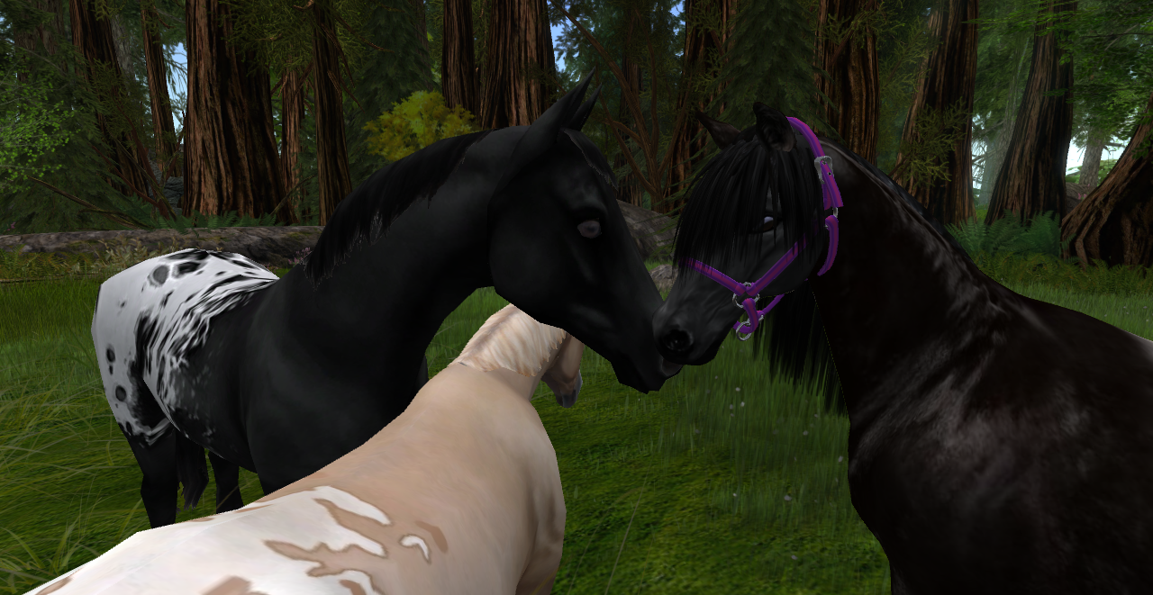 Original 53c96aab128cc96e44000001