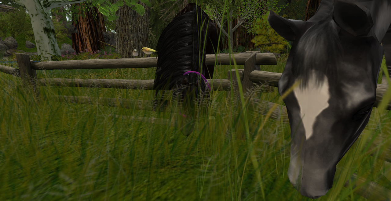 Original 53c96ec8a73e210621000001