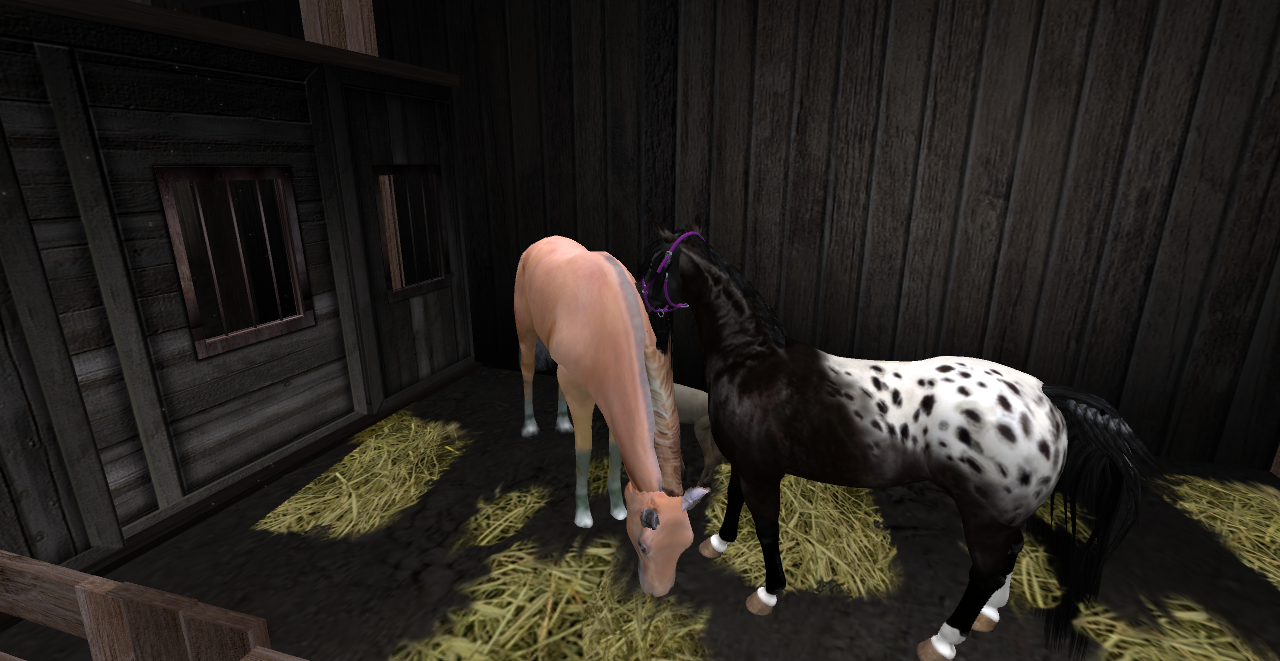 Original 53c97da9a73e216d43000001