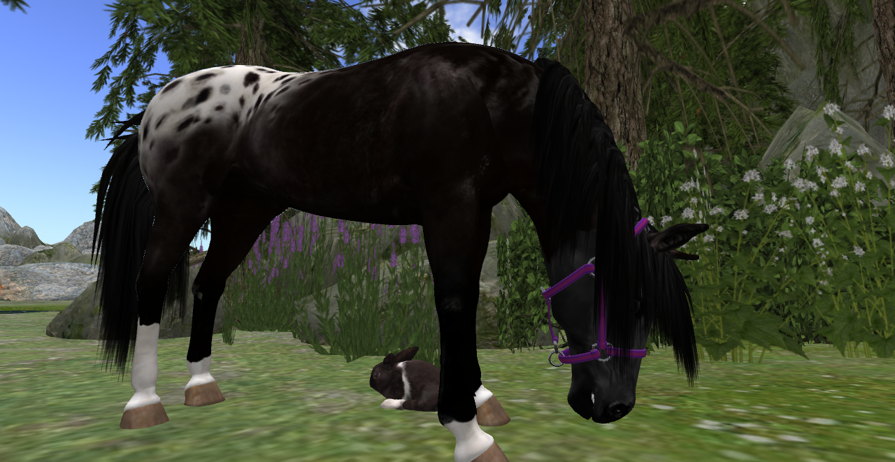 Original 53d7f24d8da5724232000001