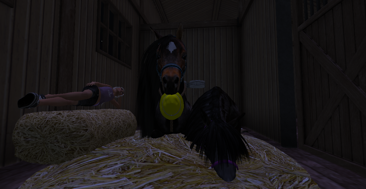 Original 53e9d2d9f8a1ec5b7b000001