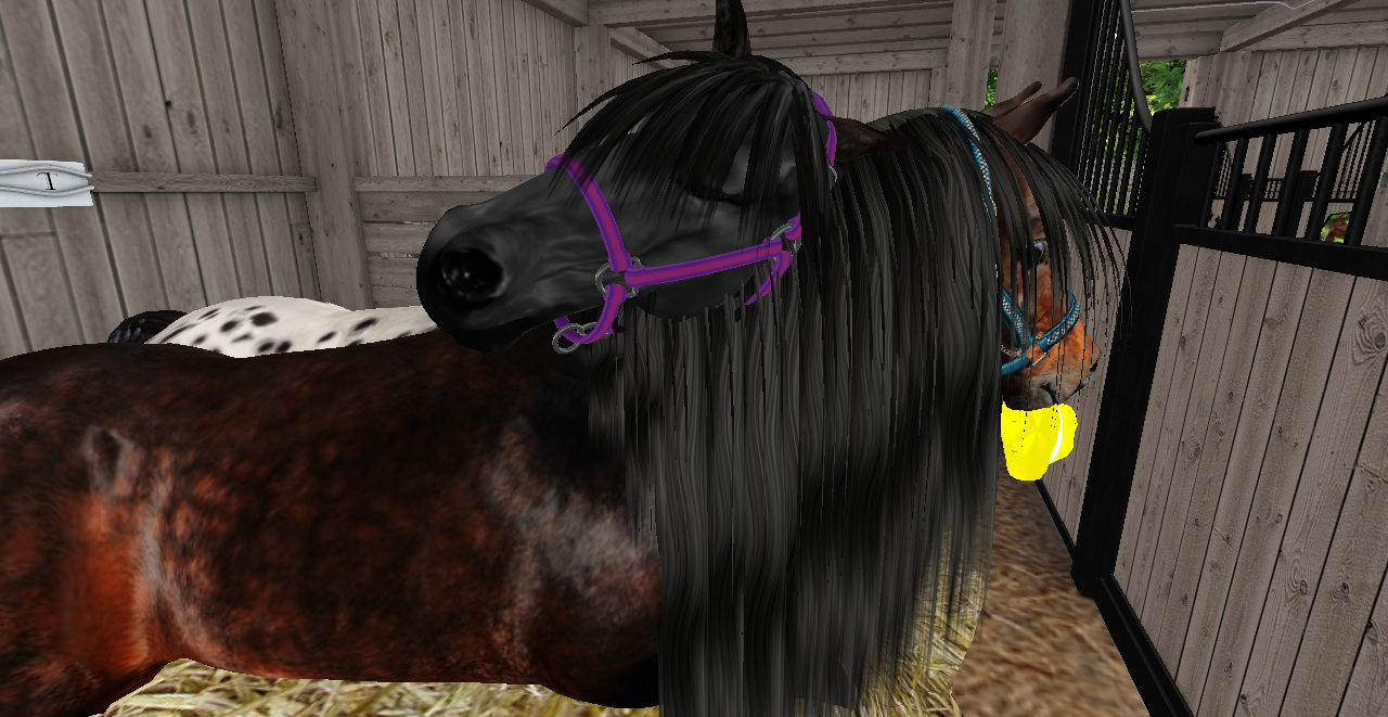 Original 53f7b709f8a1ec7b56000001