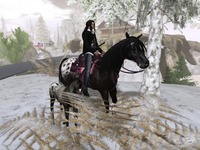 Small 58489ee9f8a1ec7735000001