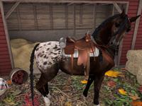 Small 5d705f17d9859c7f61000001