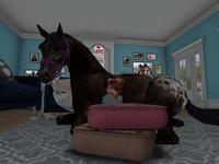 Small 5e27d9add9859c7b346ad327