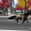 Thumb 52708d7b9263ee2a64000001