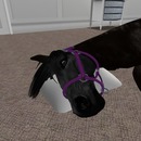 Thumb 52946155059fbf5532000001