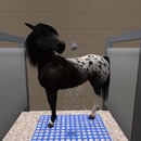 Thumb 529ebaf8a9b927067b000001