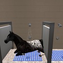 Thumb 529ebc6974f55806b0000001