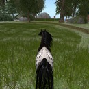 Thumb 529ebe120725df080b000001