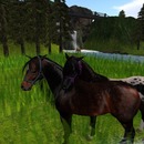 Thumb 570aeac69934e03055000001