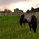 Thumb 570c5c6a9934e0724d000001