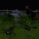 Thumb 577b55bdb713f73b76000001