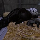 Thumb 577b69a5b713f72257000001