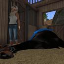 Thumb 5971379b289dd25f6c000001