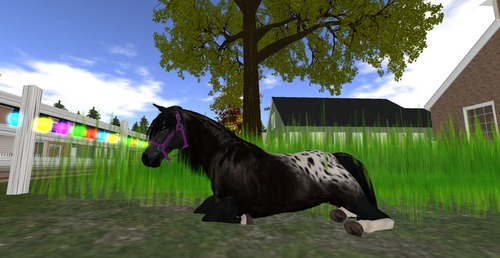 Web 529ed9cba9b9274562000001