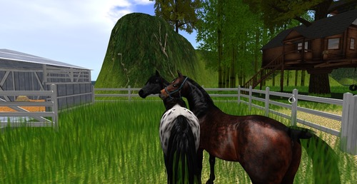 Web 530cf56b8da5720e33000001