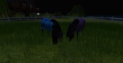 Web 532a14808da572248a000001