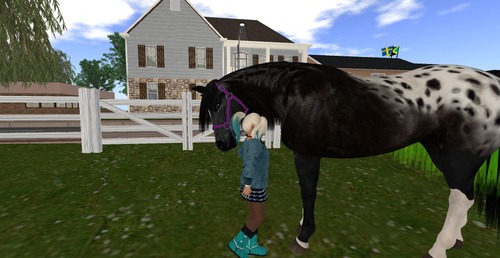 Web 535587f1a73e216b58000001