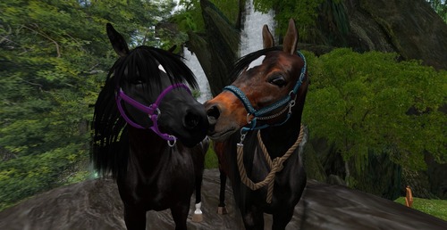 Web 53a87e458da5721f86000001