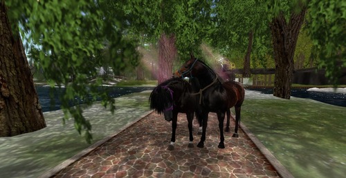 Web 53a89cfd8da5720d66000001