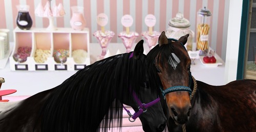 Web 53a8b4e9128cc9783b000001