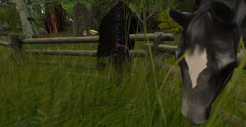 Web 53c96ec8a73e210621000001