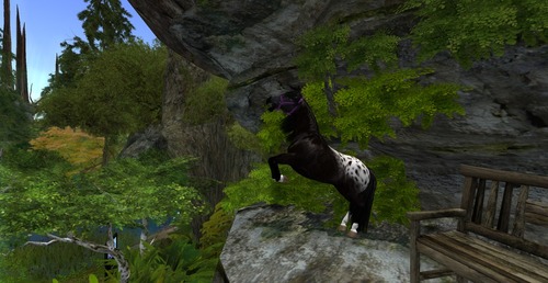 Web 53c97058a73e210f97000001