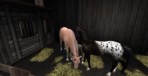 Web 53c97da9a73e216d43000001