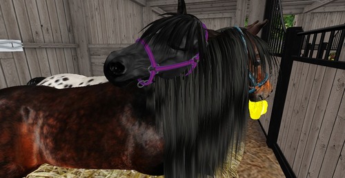 Web 53f7b709f8a1ec7b56000001