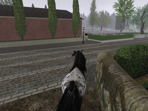 Web 57c9eb3cb713f72b28000001