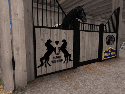 Web 58438683b015401266000001