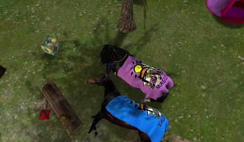 Web 597132a2289dd23b47000001