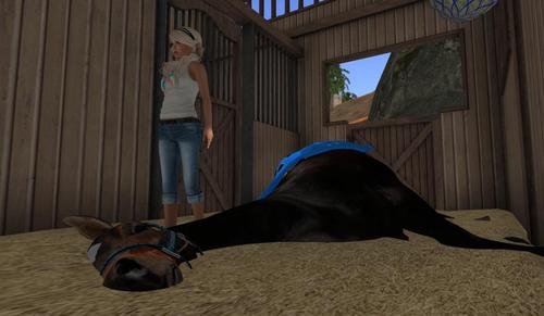 Web 5971379b289dd25f6c000001