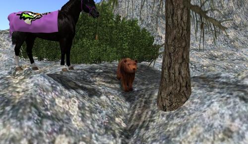 Web 59717fb5289dd26e39000001