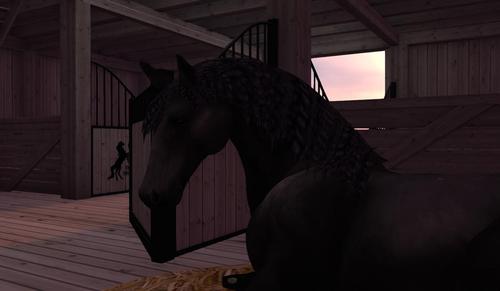 Web 59c878c573ed1768f6000001