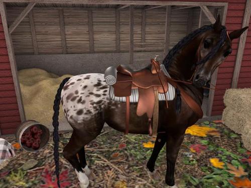 Web 5d705f17d9859c7f61000001