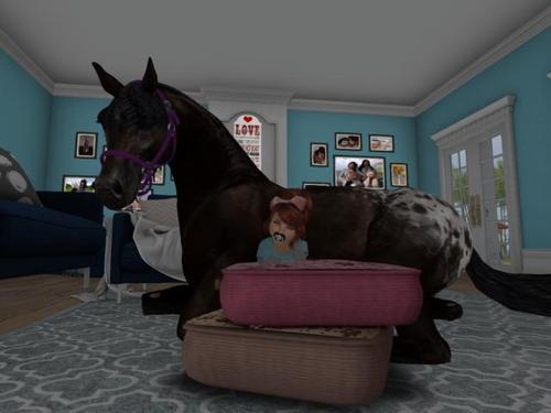 Web 5e27d9add9859c7b346ad327