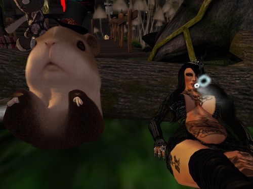 Web 530774a3128cc91fdf000001