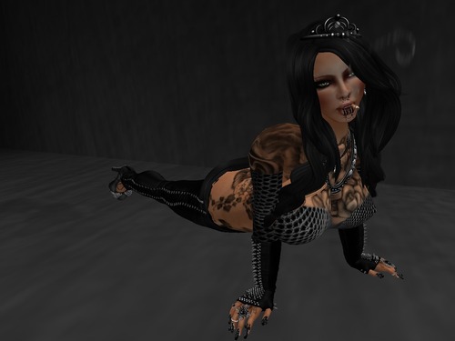 Web 5310b0e5a73e214fe3000001