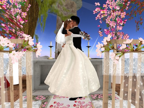 Web 53d4221c8da572090c000001