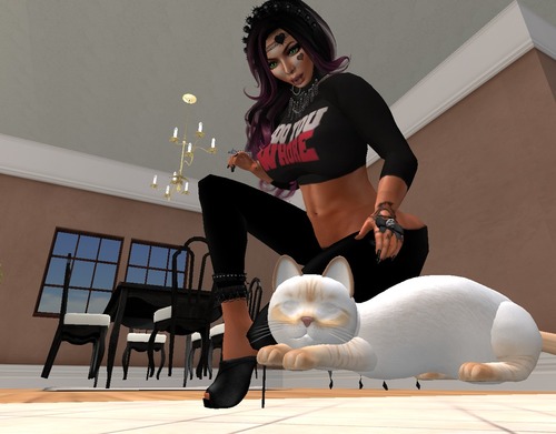 Web 540a120c128cc9447e000001