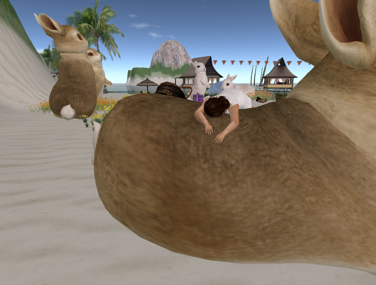 Original 534ee307128cc92dc5000001