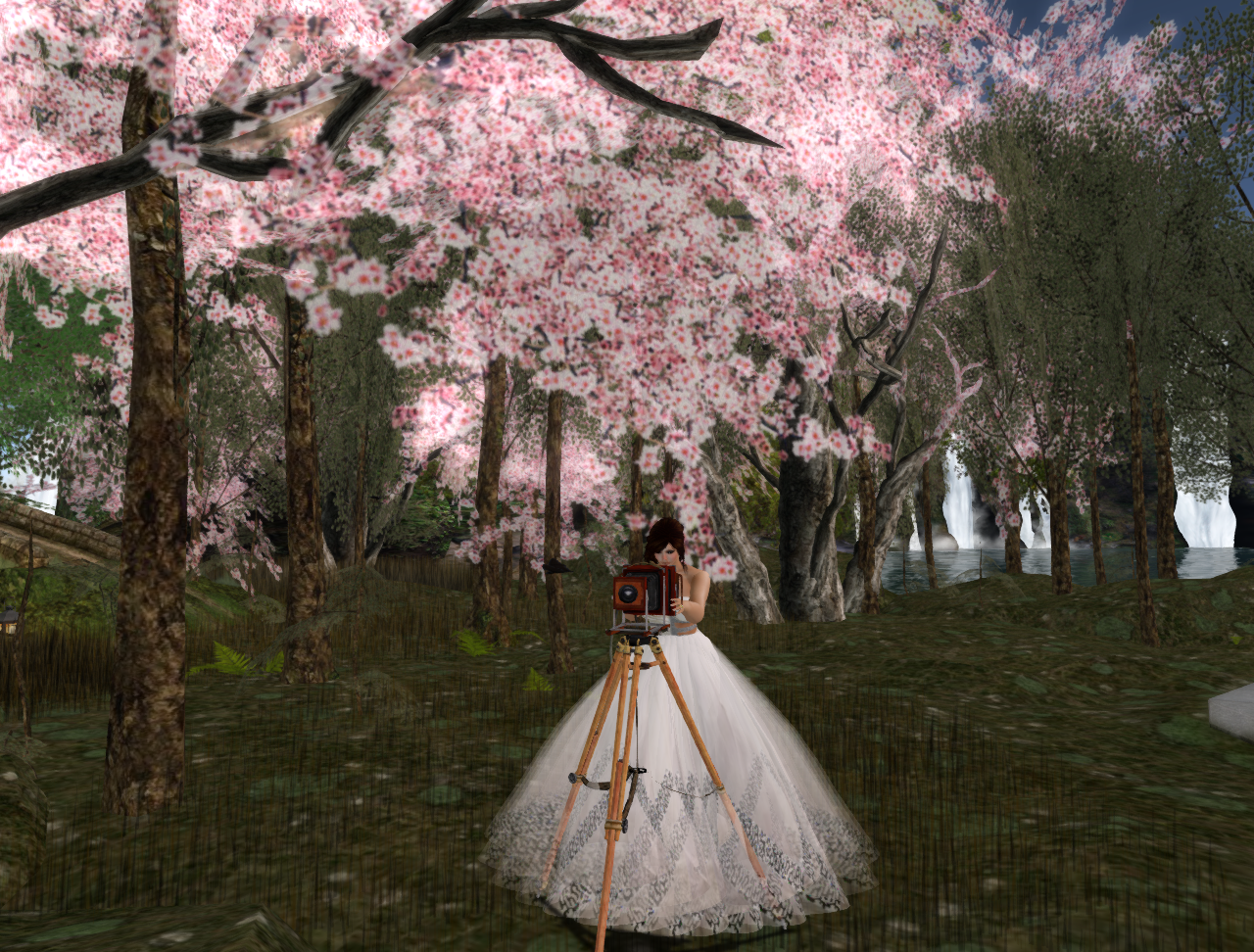 Original 539d9d7b8da5726d1d000001