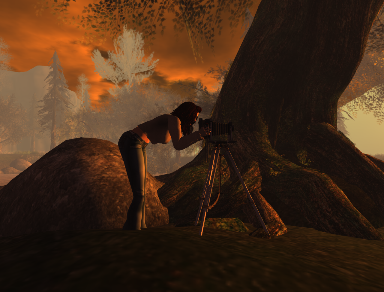 Original 53b30943128cc91f31000001