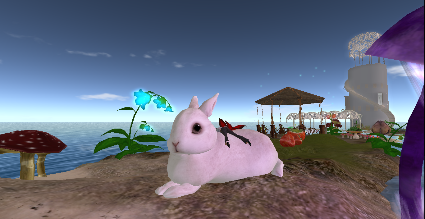 Original 54da49d1f8a1ec7efc000001