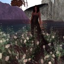 Thumb 53d026ce128cc939f9000001