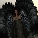 Thumb 53d02b30a73e215c85000001